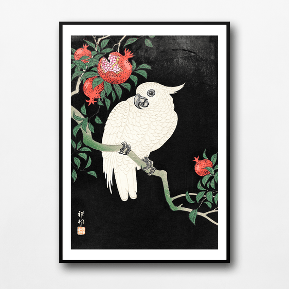 Cockatoo and Pomegranate Print by Ohara Koson  